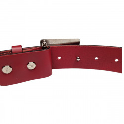 ceinture esprit Ferrari, Tucker